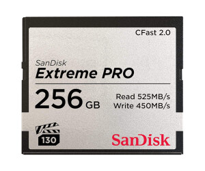 SanDisk Extreme Pro - Flash-Speicherkarte - 256 GB