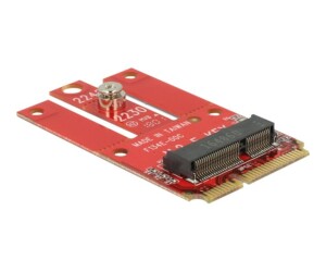 Delock Mini PCIe > M.2 Key E slot - Speicher-Controller