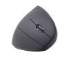 Gembird MUSW-ERGO-01 - Vertikale Maus - ergonomisch - Für Rechtshänder - 6 Tasten - kabellos - 2.4 GHz - kabelloser Empfänger (USB)