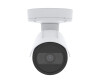 Axis P1455 -Le - network monitoring camera - outdoor area - color (day & night)
