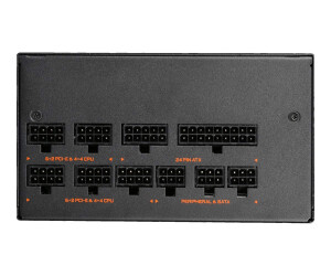 Gigabyte AORUS P850W GP-AP850GM - Netzteil (intern) - ATX12V 2.3/ EPS12V