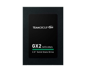 Team Group GX2 - SSD - 256 GB - Intern - 2.5 &quot;(6.4 cm)