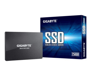 Gigabyte SSD - 256 GB - intern - 2.5" (6.4 cm)