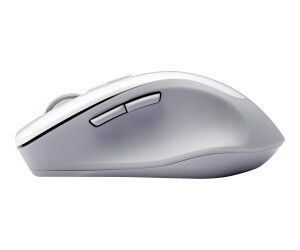 ASUS WT425 - Maus - Für Rechtshänder - optisch - 6 Tasten - kabellos - 2.4 GHz - kabelloser Empfänger (USB)