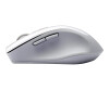 ASUS WT425 - Maus - Für Rechtshänder - optisch - 6 Tasten - kabellos - 2.4 GHz - kabelloser Empfänger (USB)