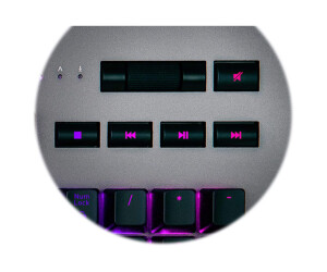 Thermaltake TT Premium Level 20 RGB - Tastatur -...