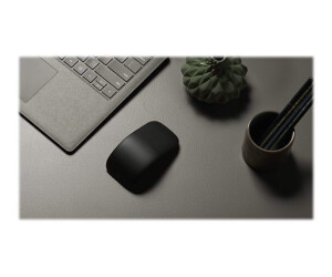 Microsoft Arc Mouse - Mouse - Visually - 2 keys