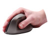 Ordissimo mouse - ergonomically - wireless, wired