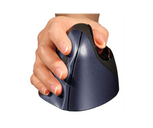 Bakker Elkhuizen Evoluent4 wireless - mouse - for right -handers