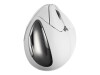 Evoluent VerticalMouse 4 Right Mac - Vertikale Maus