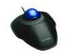 Kensington Orbit - Trackball - rechts- und linkshändig