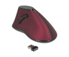 Delock Vertikale Maus - ergonomisch - Für Rechtshänder - optisch - 5 Tasten - kabellos - 2.4 GHz - kabelloser Empfänger (USB)