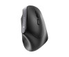 Cherry MW 4500 - Vertikale Maus - ergonomisch - Für Rechtshänder - optisch - 6 Tasten - kabellos - 2.4 GHz - kabelloser Empfänger (USB)