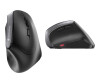 Cherry MW 4500 - Vertikale Maus - ergonomisch - Für Rechtshänder - optisch - 6 Tasten - kabellos - 2.4 GHz - kabelloser Empfänger (USB)