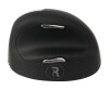 R -GO He Mouse ergonomic mouse, large (over 185mm), right hand, wireless - mouse - ergonomic - for right -handed - 5 keys - wireless - 2.4 GHz - wireless receiver (USB)