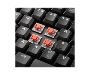 Sharkoon PureWriter TKL RGB - keyboard - backlight