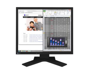 EIZO FlexScan S1934H - LED-Monitor - 48.1 cm (19")