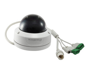 LevelOne FCS-3090 - Netzwerk-Überwachungskamera - Kuppel - Außenbereich - Vandalismussicher / Wetterbeständig - Farbe (Tag&Nacht)