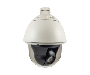 LevelOne FCS-4042 - Netzwerk-Überwachungskamera - PTZ - Außenbereich - Vandalismussicher / Wetterbeständig - Farbe (Tag&Nacht)