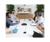 Logitech GROUP Expansion Microphones Only - Mikrofonset