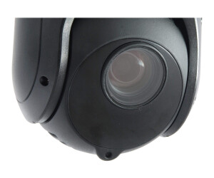 LevelOne FCS-4051 - Netzwerk-Überwachungskamera - PTZ - Außenbereich, Innenbereich - wetterfest - Farbe (Tag&Nacht)
