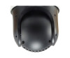 Levelone FCS -4051 - Network monitoring camera - PTZ - outdoor area, indoor area - weatherproof - color (day & night)