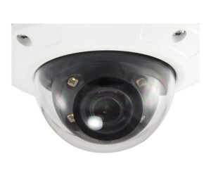 LevelOne FCS-3302 - Netzwerk-Überwachungskamera - Kuppel - Außenbereich - Vandalismussicher / Wetterbeständig - Farbe (Tag&Nacht)