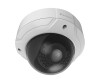 LevelOne FCS-3085 - Netzwerk-Überwachungskamera - Kuppel - Außenbereich - Vandalismussicher / Wetterbeständig - Farbe (Tag&Nacht)