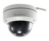 Levelone FCS -3087 - Network monitoring camera - dome - Outdoor area - Vandalis -proof / weather -resistant - color (day & night)