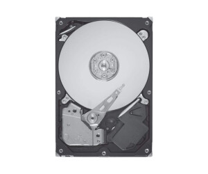 Seagate Enterprise Performance 10K HDD ST9300605SS - hard...
