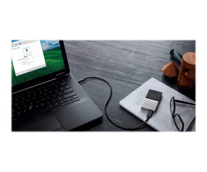 WD My Passport SSD WDBKVX0020PSL - SSD - verschlüsselt - 2 TB - extern (tragbar)