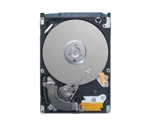 Dell  Festplatte - 2 TB - Hot-Swap - 3.5" (8.9 cm)