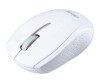 Acer M501 - Maus - optisch - 3 Tasten - kabellos - 2.4 GHz - kabelloser Empfänger (USB)