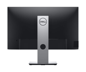 Dell P2419H - LED monitor - 61 cm (24 ") (23.8" Visible)