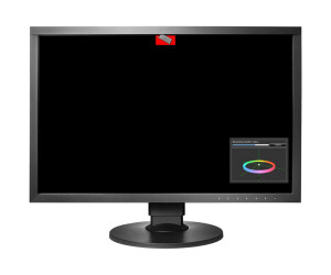 Eizo Coloredge CG2420 - LED monitor - 61.1 cm (24.1 ")
