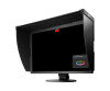 EIZO ColorEdge CG2420 - LED-Monitor - 61.1 cm (24.1")