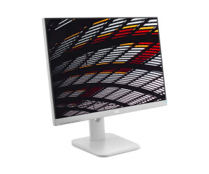 AOC 24P1/GR - LED-Monitor - 60.5 cm (23.8") - 1920 x 1080 Full HD (1080p)