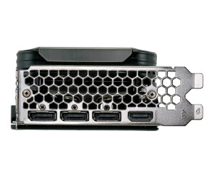 Gainward GeForce RTX 3070 Ti Phoenix - Grafikkarten
