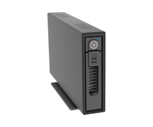 RAIDON SafeTANK Series GT1670-BA31 - Speichergehäuse...