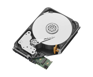 Seagate Exos X20 ST18000NM000D - Festplatte - 18 TB