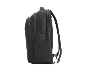 HP Professional - Notebook backpack - 43.9 cm (17.3 ")