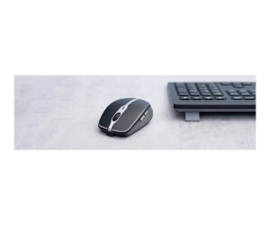 Cherry MW 9100 - Maus - 6 Tasten - kabellos - 2.4 GHz, Bluetooth 4.0 - kabelloser Empfänger (USB)