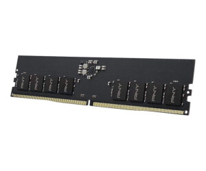 PNY DDR5 - Modul - 8 GB - DIMM 288-PIN - 4800 MHz /...