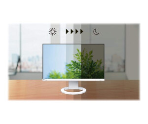 EIZO FlexScan EV2490-WT - Mit FlexStand - LED-Monitor - 60.5 cm (23.8")