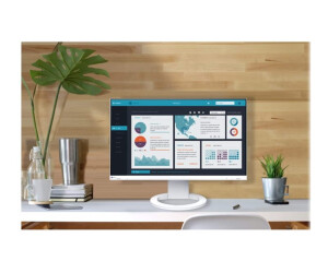 EIZO FlexScan EV2490-WT - Mit FlexStand - LED-Monitor - 60.5 cm (23.8")