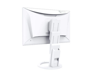 EIZO FlexScan EV2490-WT - Mit FlexStand - LED-Monitor - 60.5 cm (23.8")