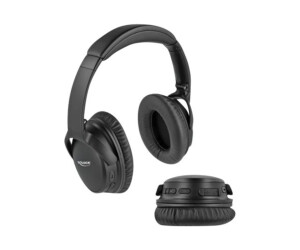 Delock headphones with a microphone - ear -circulating