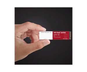 WD Red SN700 WDS250G1R0C - SSD - 250 GB - intern - M.2 2280 - PCIe 3.0 x4 (NVMe)