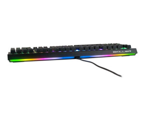 Sharkoon Skiller SGK60 - Tastatur - Hintergrundbeleuchtung
