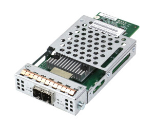 Inventrend Host Board with 2 X12GB/S SAS Ports